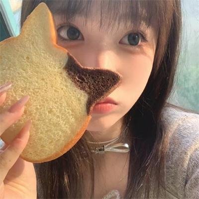多情的野猫